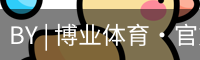 BY | 博业体育·官方网站